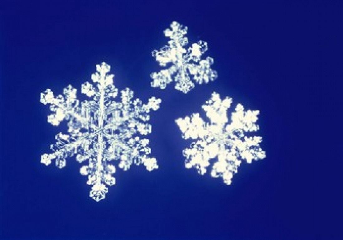Snowflakes Canvas Art - Panoramic Images (16 x 12)