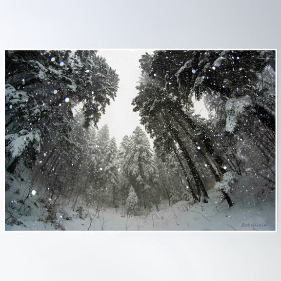 Snowing Poster Wall Art, Modern Wall Decor, 24x36 UNFRAMED