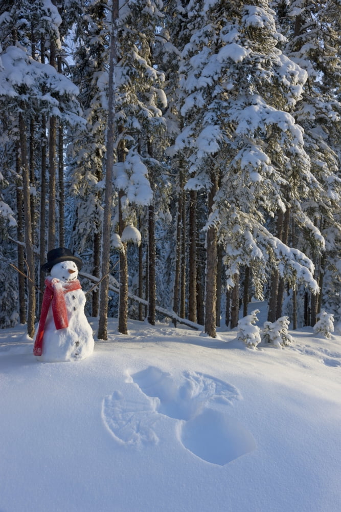 Snowman And Freshly Made Snowman Snow Angel In Front Of A Spruce ForestAnchorage Alaska Usa Canvas Art - Kevin Smith Design Pics (24 x 38)