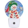 Snowman and Birds Decorative Night Light Plug in Merry Christmas Winter