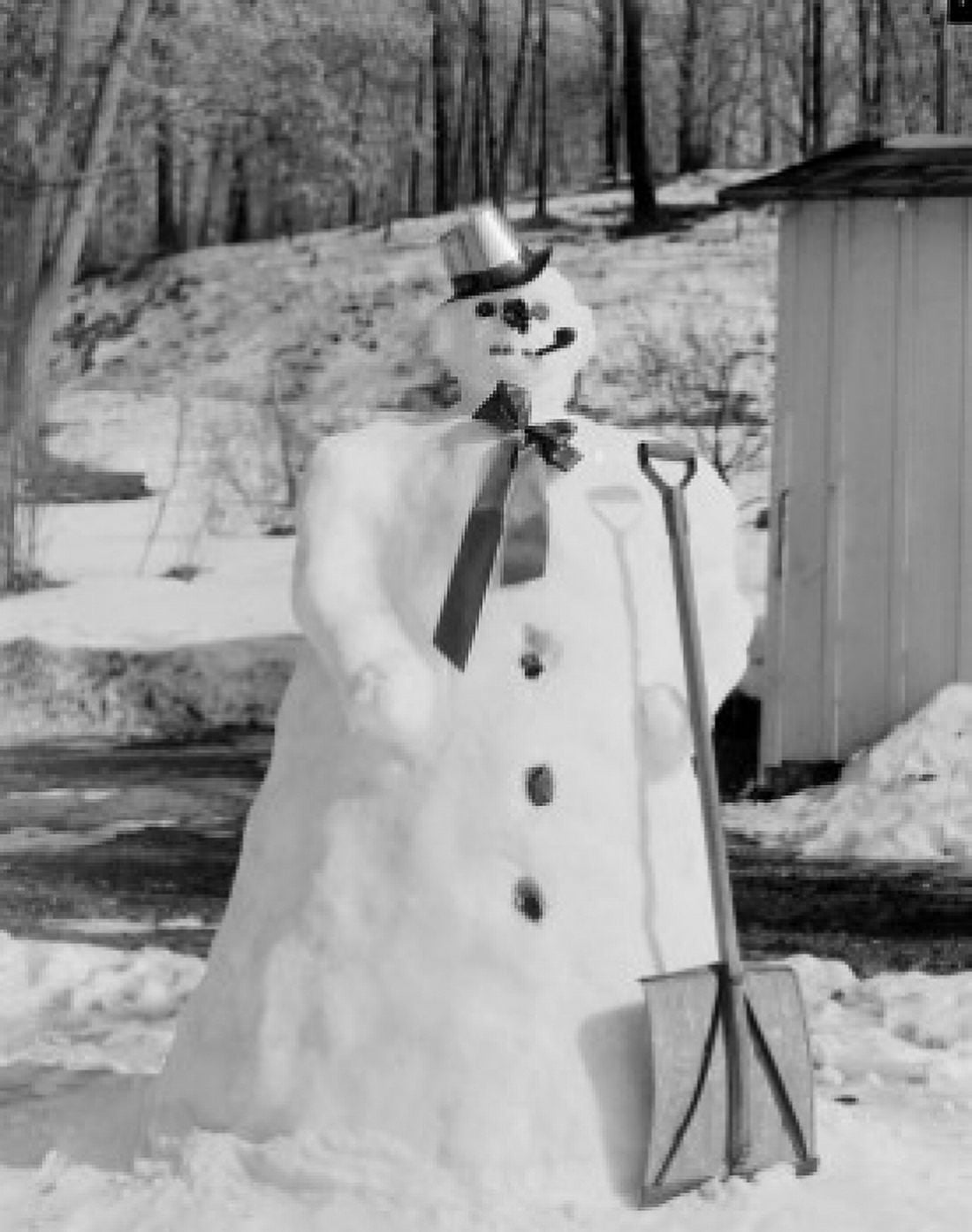 Snowman Canvas Art - (18 x 24)