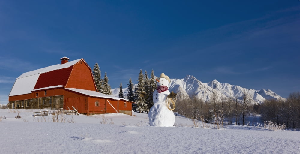 Snowman Dressed Up As A Cowboy Standing In Front Of A Vintage Red Barn Palmer Southcentral Alaska Winter Canvas Art - Kevin Smith Design Pics (21 x 11)