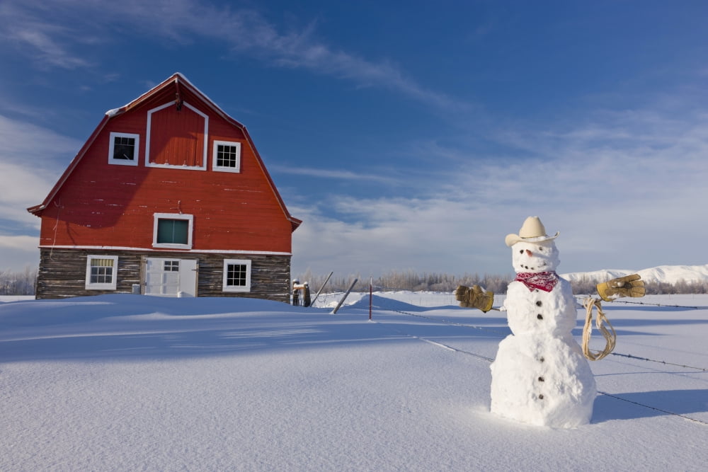 Snowman Dressed Up As A Cowboy Standing In Front Of A Vintage Red Barn In WinterPalmer Alaska Usa Canvas Art - Kevin Smith Design Pics (19 x 12)