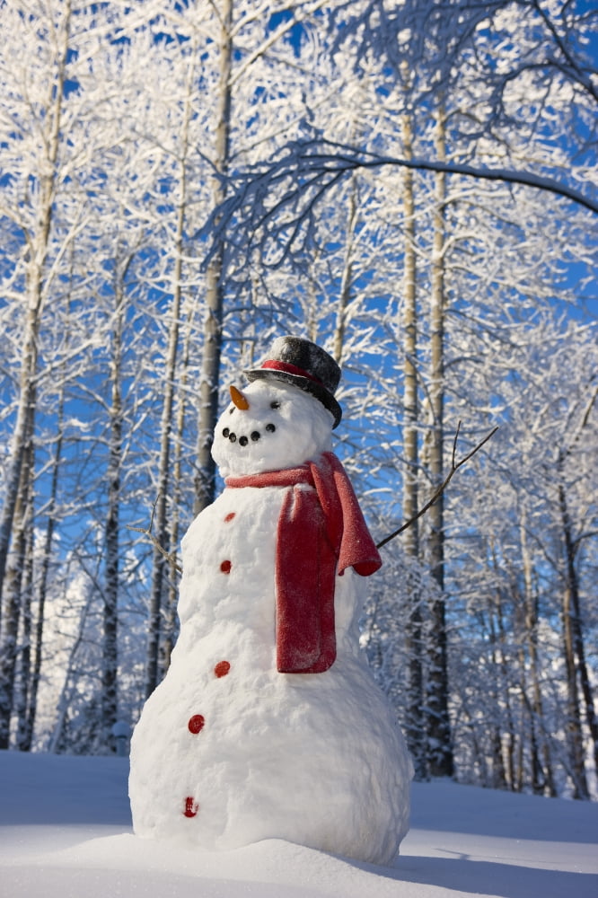 Snowman With Red Scarf And Black Top Hat Standing In Front Of Snow Covered Birch Forest Winter Eagle River Alaska Usa Canvas Art - Kevin Smith Design Pics (11 x 17)