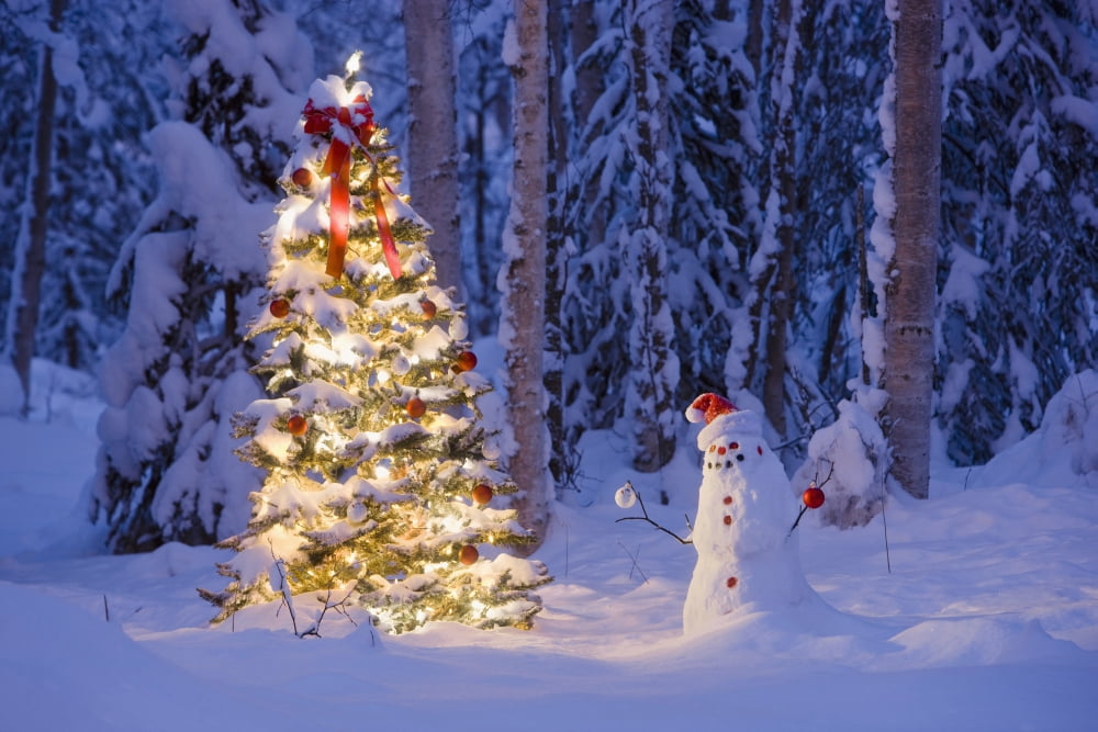 Snowman With Santa Hat Hanging Ornaments On A Christmas Tree In A Snow Covered Birch Forest In Southcentral Alaska Canvas Art - Kevin Smith Design Pics (19 x 12)