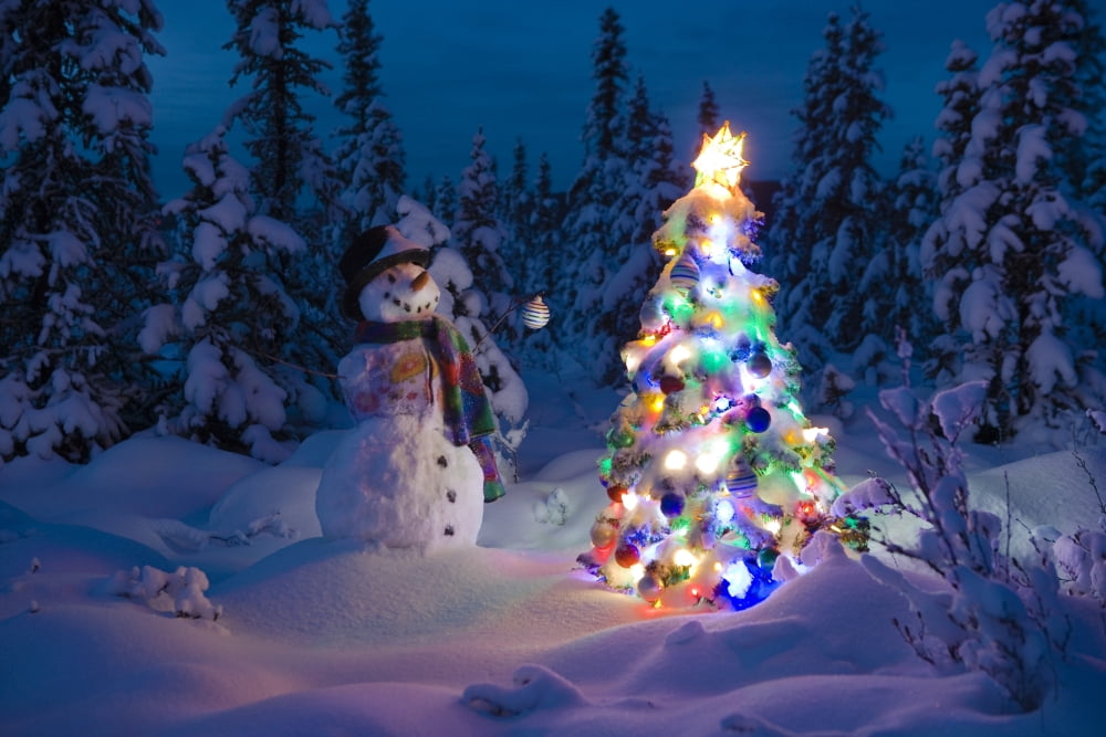 Snowman Stands In A Snowcovered Spruce Forest Next To A Decorated Christmas Tree In Wintertime Canvas Art - Kevin Smith Design Pics (17 x 11)