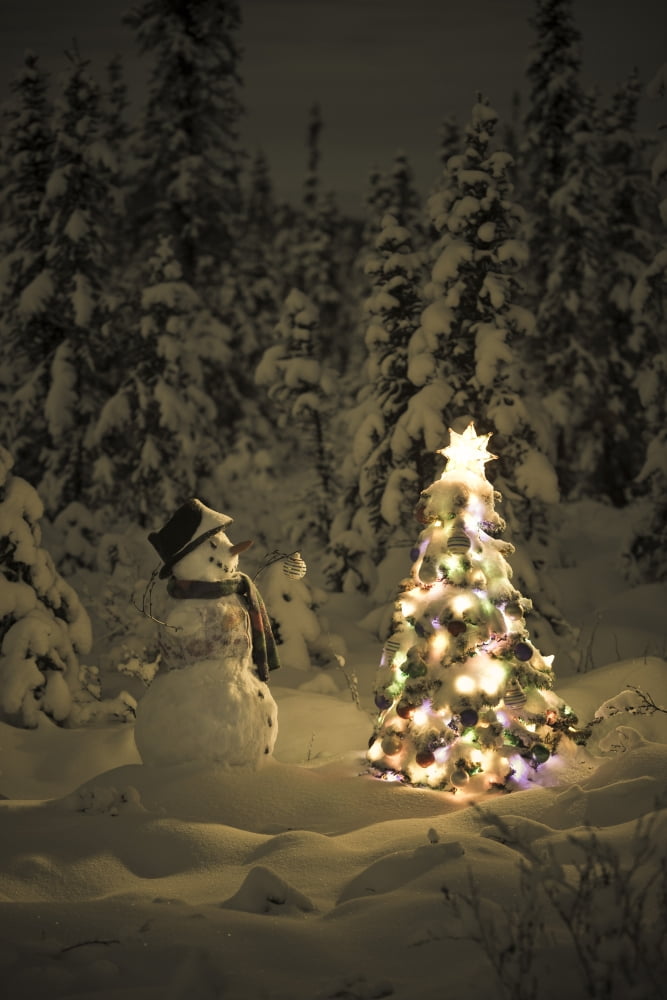 Snowman Stands In A Snowcovered Spruce Forest Next To A Decorated Christmas Tree In Wintertime Canvas Art - Kevin Smith Design Pics (22 x 34)