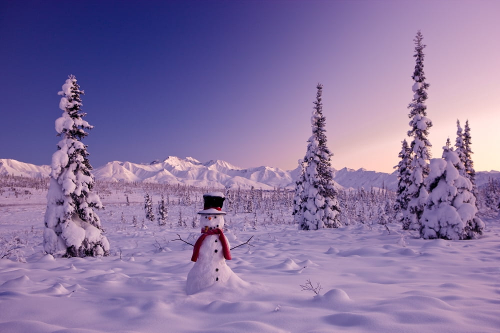 Snowman At Sunset Snow Covered Spruce Trees Winter Chugach Mountains In The Background Glenn Highway Alaska Usa Canvas Art - Kevin Smith Design Pics (17 x 11)
