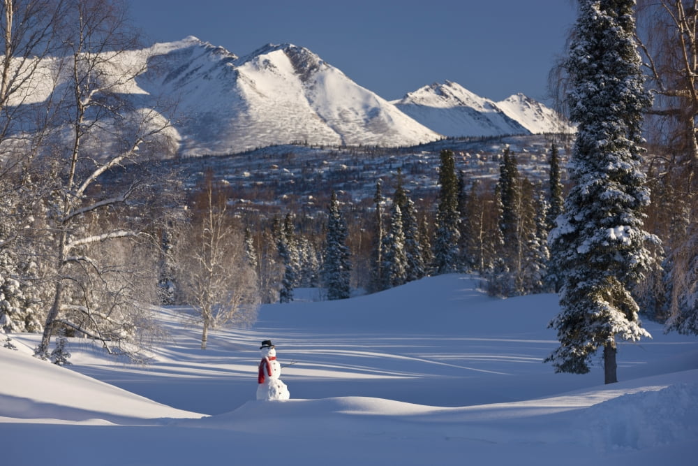 Snowman Wearing A Black Top Hat And Red Scarf Standing In A Snowcovered Meadow Spruce Forest Anchorage Golf CourseAnchorage Alaska Usa Canvas Art - Kevin Smith Design Pics (38 x 24)