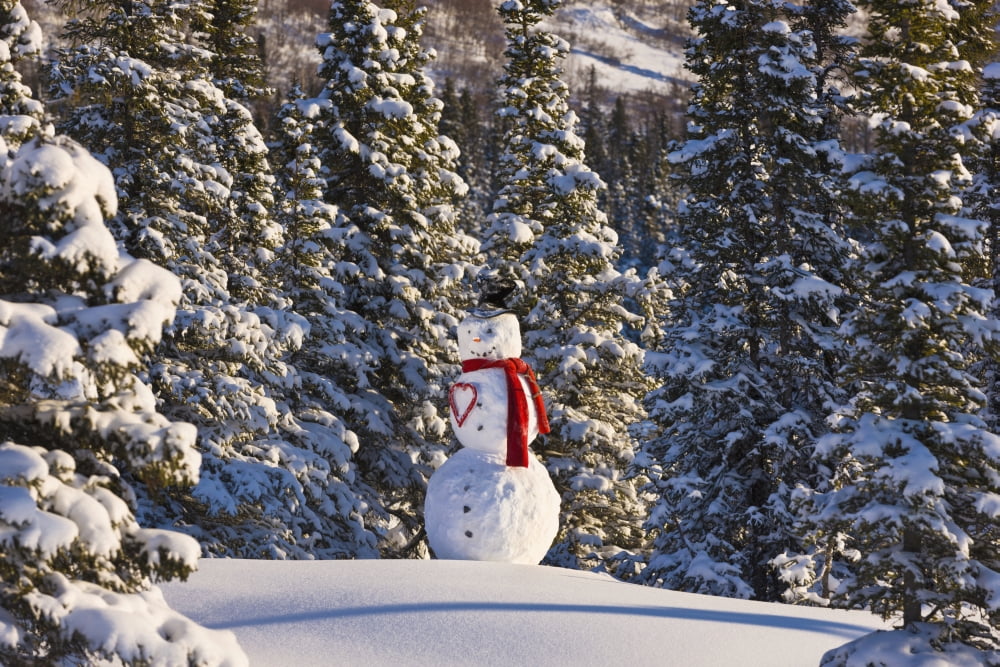 Snowman Wearing A Red Scarf And Black Top Hat Standing In Front Of A Snowcovered Spruce ForestAnchorage Alaska Usa Canvas Art - Kevin Smith Design Pics (19 x 12)