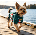 thumbnail image 1 of Snowman Winter Printed Dog Sweatshirt Soft Lightweight Short Sleeve Pet Shirt Comfortable Christmas Outfit for Indoor and Outdoor Activities (Dark Green,4XL), 1 of 8
