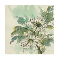 Snowmum I' Canvas Art by Chris Paschke