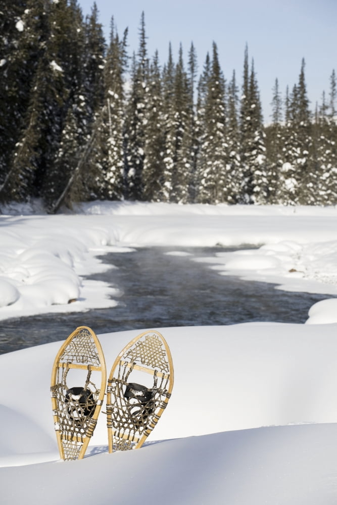 Snowshoes By Snowy Lake Lake Louise Alberta Canada Canvas Art - Michael Interisano Design Pics (24 x 38)