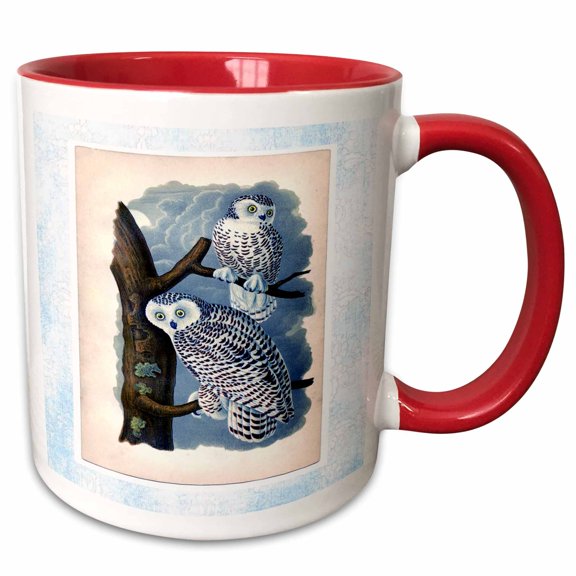 3drose, Snowy Barn Owls, 11oz Two-tone Red Mug