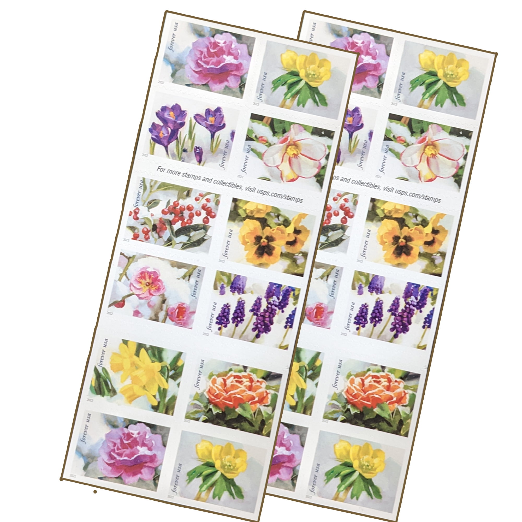 USPS Snowy Garden Beauty Forever Self-Adhesive Postage Stamps, Wedding,  Love, Celebration, Holiday, Winter, Flower (1 Booklet, 20 Stamps)