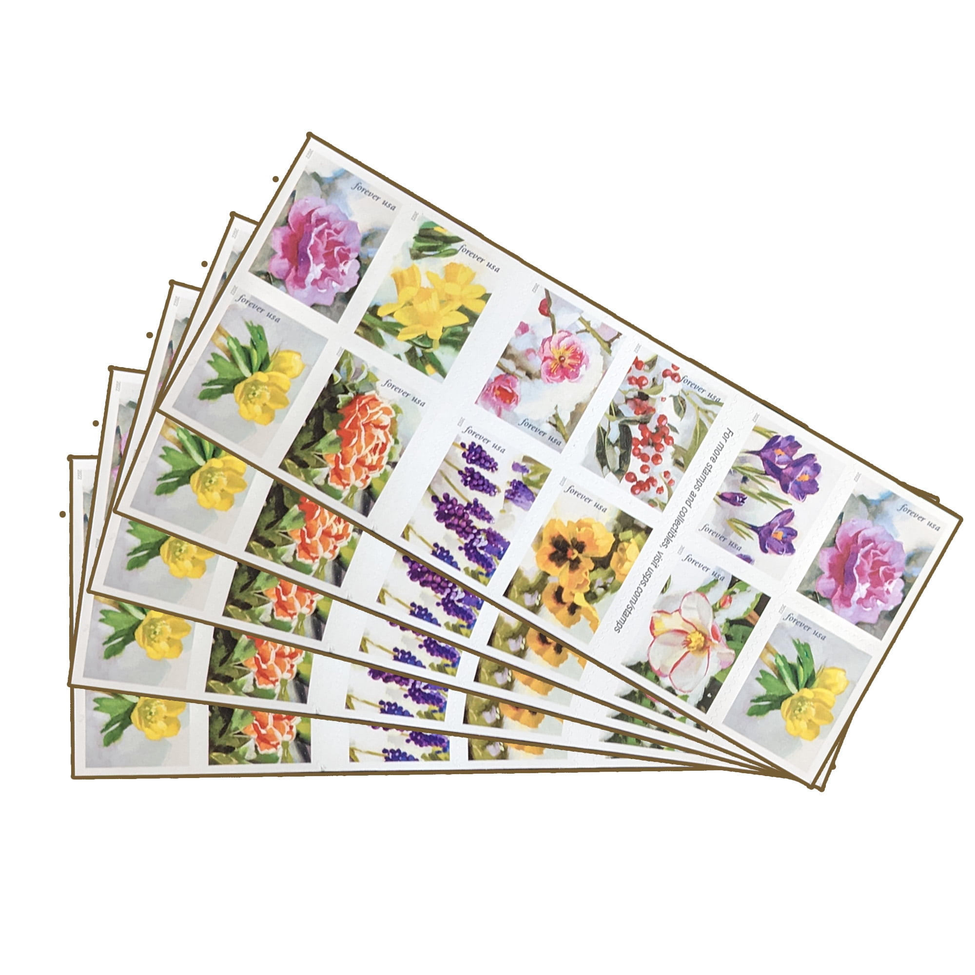 USPS Garden Beauty Forever Postage Stamps Book of 20 Self-Stick First Class Wedding Celebration Anniversary Flower Party (20 Stamps)