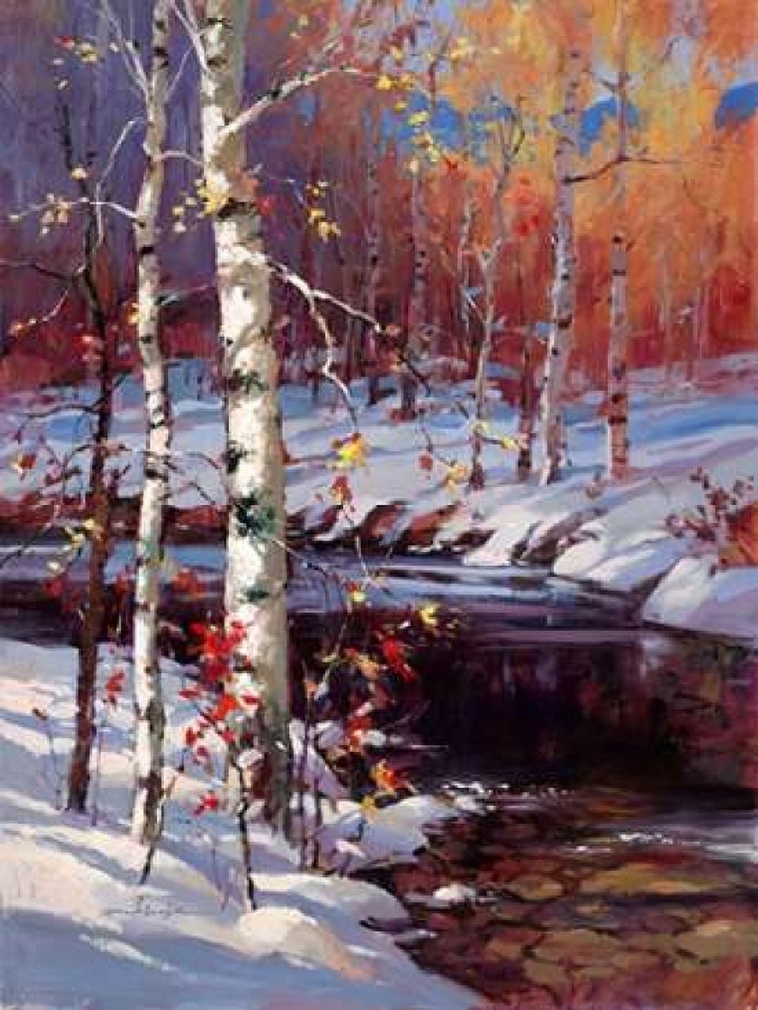 Snowy Birch Canvas Art - Brent Heighton (18 x 24)