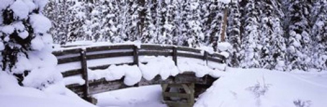 Snowy Bridge in Banff National Park Alberta Canada Canvas Art - Panoramic Images (37 x 12)