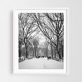 thumbnail image 1 of Snowy Central Park 02 B&W - Manhattan New York Photography Black and White Winter Snow Nature Forest Scenic Landscape White Framed Wall Art Print 8 x 10 inches, 1 of 3