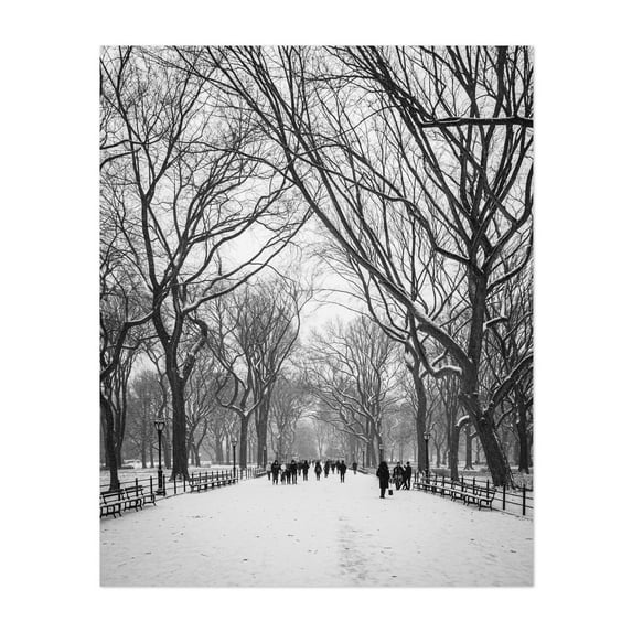 Snowy Central Park 02 B&W - Manhattan New York Photography Unframed Wall Art Print 8 x 10 inches