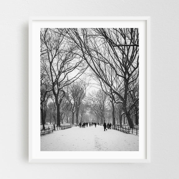 Snowy Central Park 02 B&W - Manhattan New York Photography White Framed Wall Art Print 16 x 20 inches