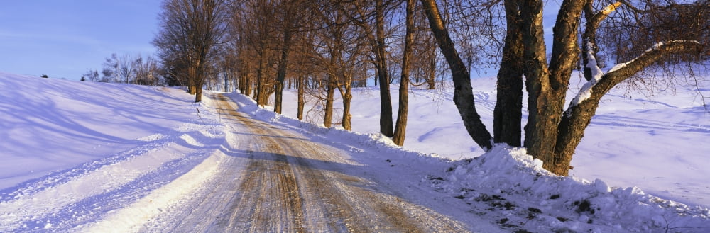 Snowy Country Road Canvas Art - Panoramic Images (36 x 12)