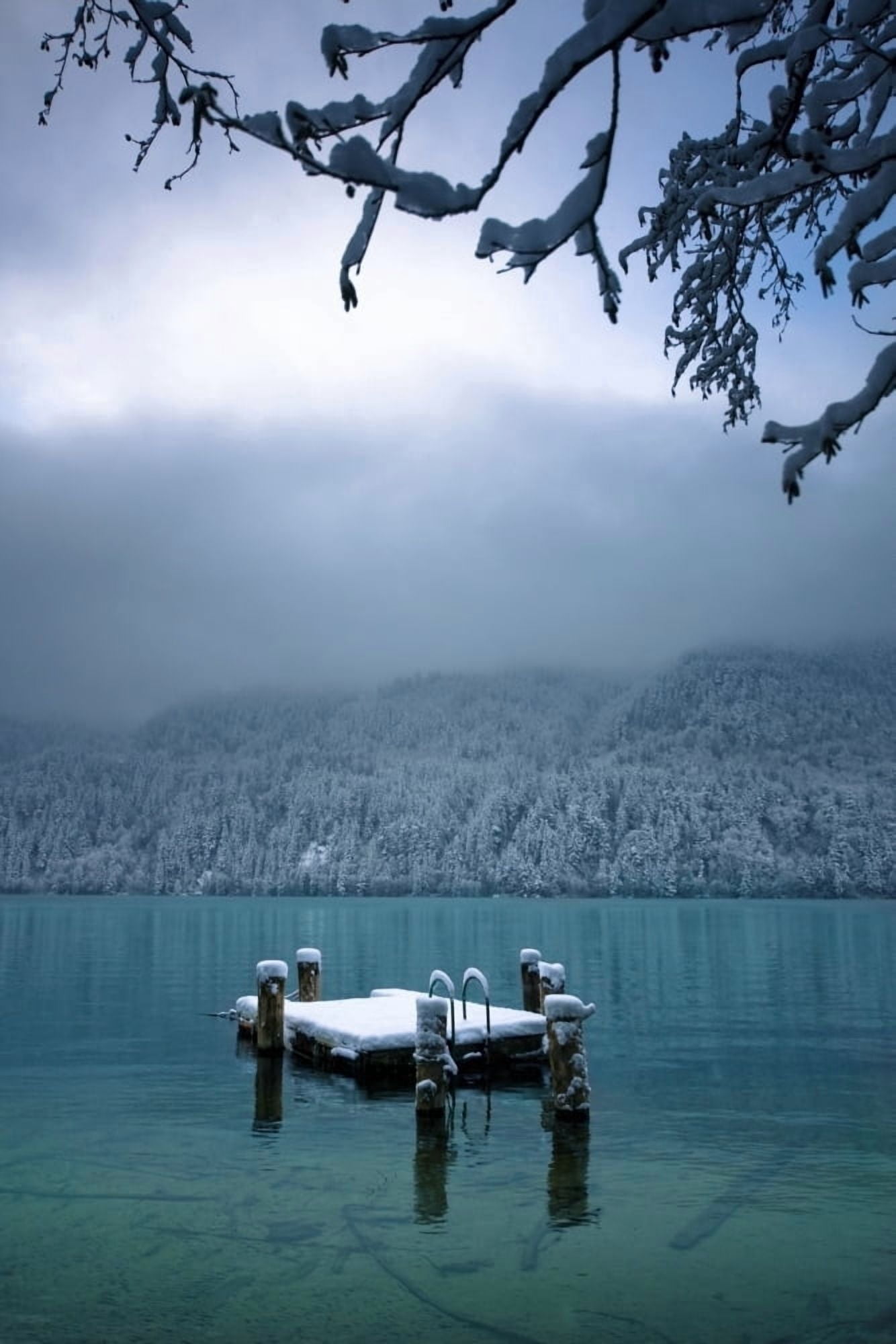 Snowy Dock Floating In Lake BellinghamWashingtonUsa Canvas Art - Blake Kent Design Pics (12 x 19)
