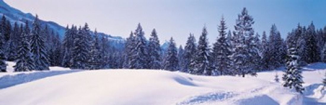 Snowy Field & Trees Oberjoch Germany Canvas Art - Panoramic Images (36 x 12)