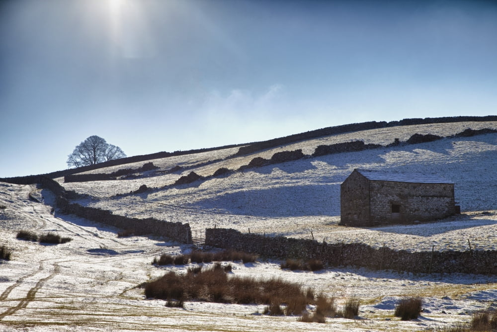 Snowy Field Yorkshire Dales England Canvas Art - John Short Design Pics (38 x 24)