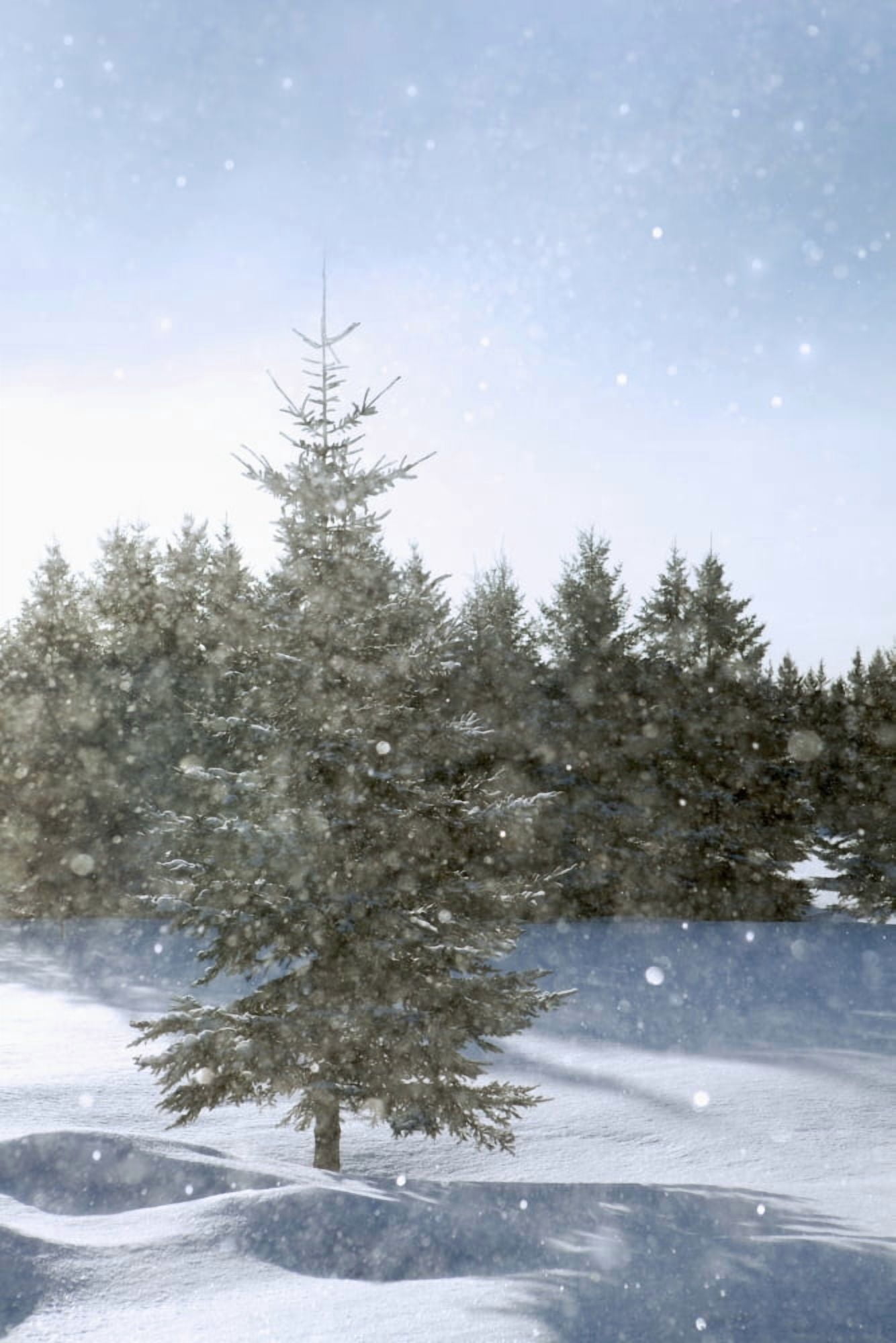 Snowy Flurries Falling In The Sunshine Thunder Bay Ontario Canada Canvas Art - Susan Dykstra Design Pics (12 x 19)