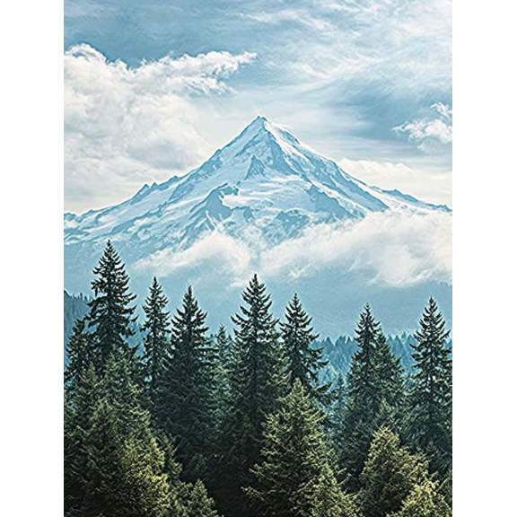 Snowy Mountain and Forest Canvas Print/Wall Art Suitable for Living Room Bedroom Office Hotel and Restaurant Decoration.