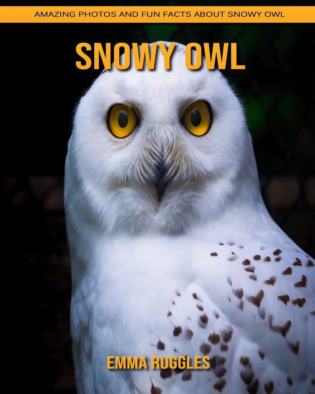 Snowy Owl: Amazing Photos and Fun Facts about Snowy Owl - Walmart.com