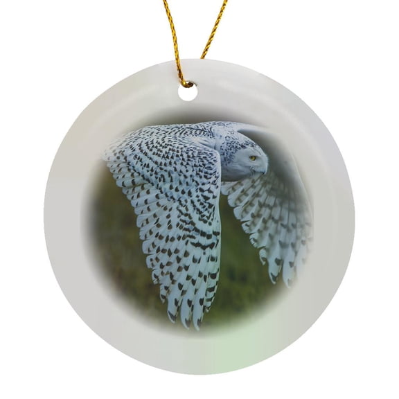 3drose, Snowy Owl, Bird Sanctuary, British Columbia, Canada, Circle Porcelain Ornament