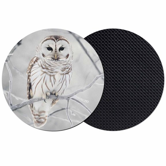 Snowy Owl Coasters for Drinks,Absorbent Non Slip Rubber Drink Coasters Set of 2 for Cup,Table,Bar,Home Decor, Winter Polar Owl
