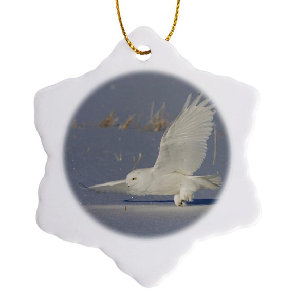 3drose, Snowy Owl Hunting, Male, 3 inch Snowflake Porcelain Ornament