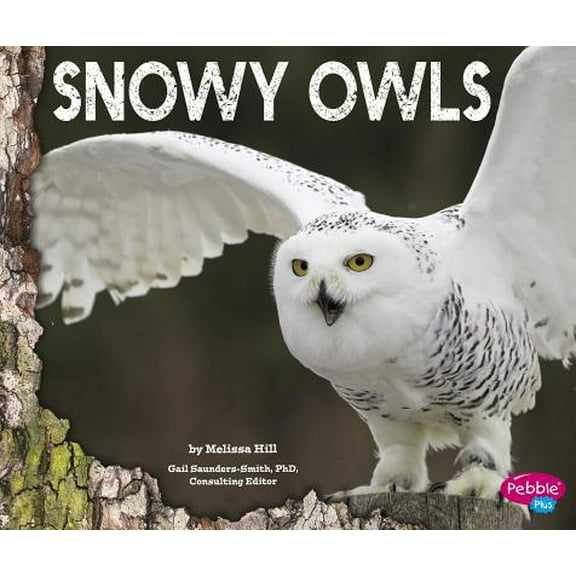 Pre-Owned Snowy Owls (Paperback) 1491460547 9781491460542