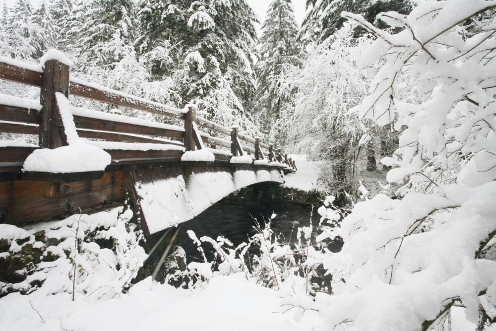 Snowy Pedestrian Bridge Through Forest Canvas Art - Craig Tuttle Design Pics (38 x 24)