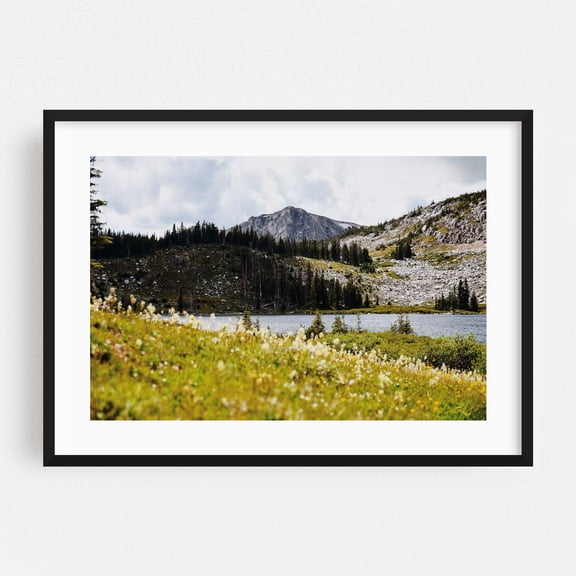Snowy Range Wildflowers - Wyoming Photography Mountain Nature Landscape Lake Wilderness Scenic Forest Black Framed Wall Art Print 20 x 30 inches