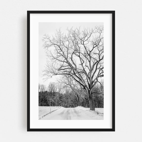Snowy Road 05 B&W - Glen Rock Pennsylvania Photography Winter Black and White Snow Nature Landscape Rural Scenic Black Framed Wall Art Print 5 x 7 inches