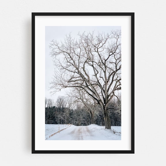 Snowy Road 05 - Glen Rock Pennsylvania Photography Winter Snow Nature Landscape Scenic Rural Forest Black Framed Wall Art Print 5 x 7 inches