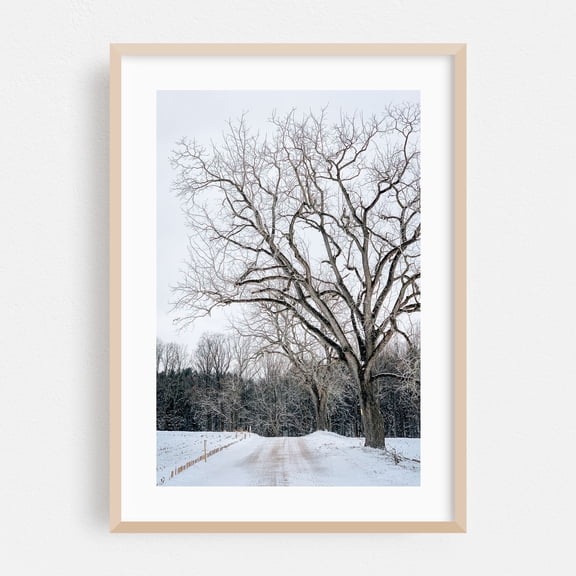 Snowy Road 05 - Glen Rock Pennsylvania Photography Winter Snow Nature Landscape Scenic Rural Forest Oak Framed Wall Art Print 5 x 7 inches
