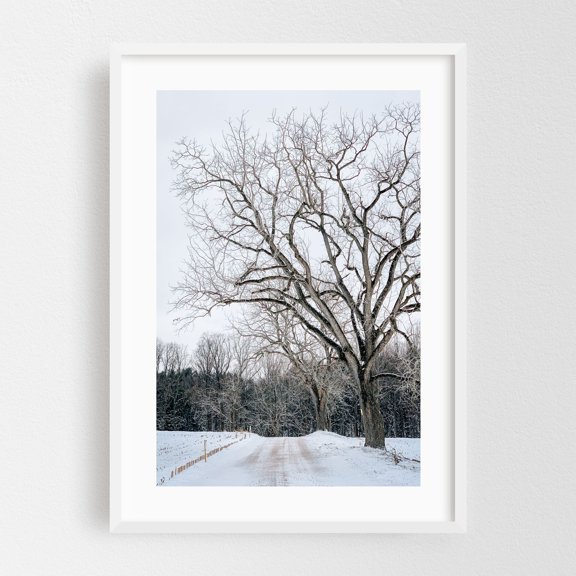 Snowy Road 05 - Glen Rock Pennsylvania Photography Winter Snow Nature Landscape Scenic Rural Forest White Framed Wall Art Print 5 x 7 inches