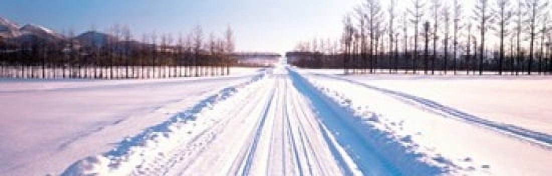 Snowy Road Hokkaido Shari-cho Japan Canvas Art - Panoramic Images (18 x 6)