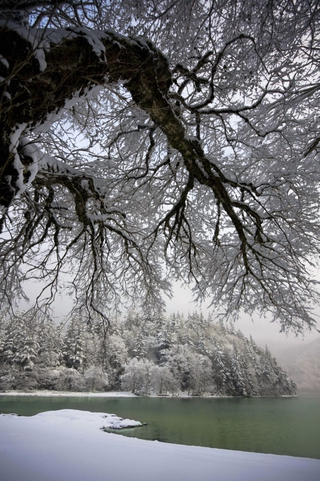 Snowy Shoreline Of A Lake BellinghamWashingtonUsa Canvas Art - Blake Kent Design Pics (12 x 19)