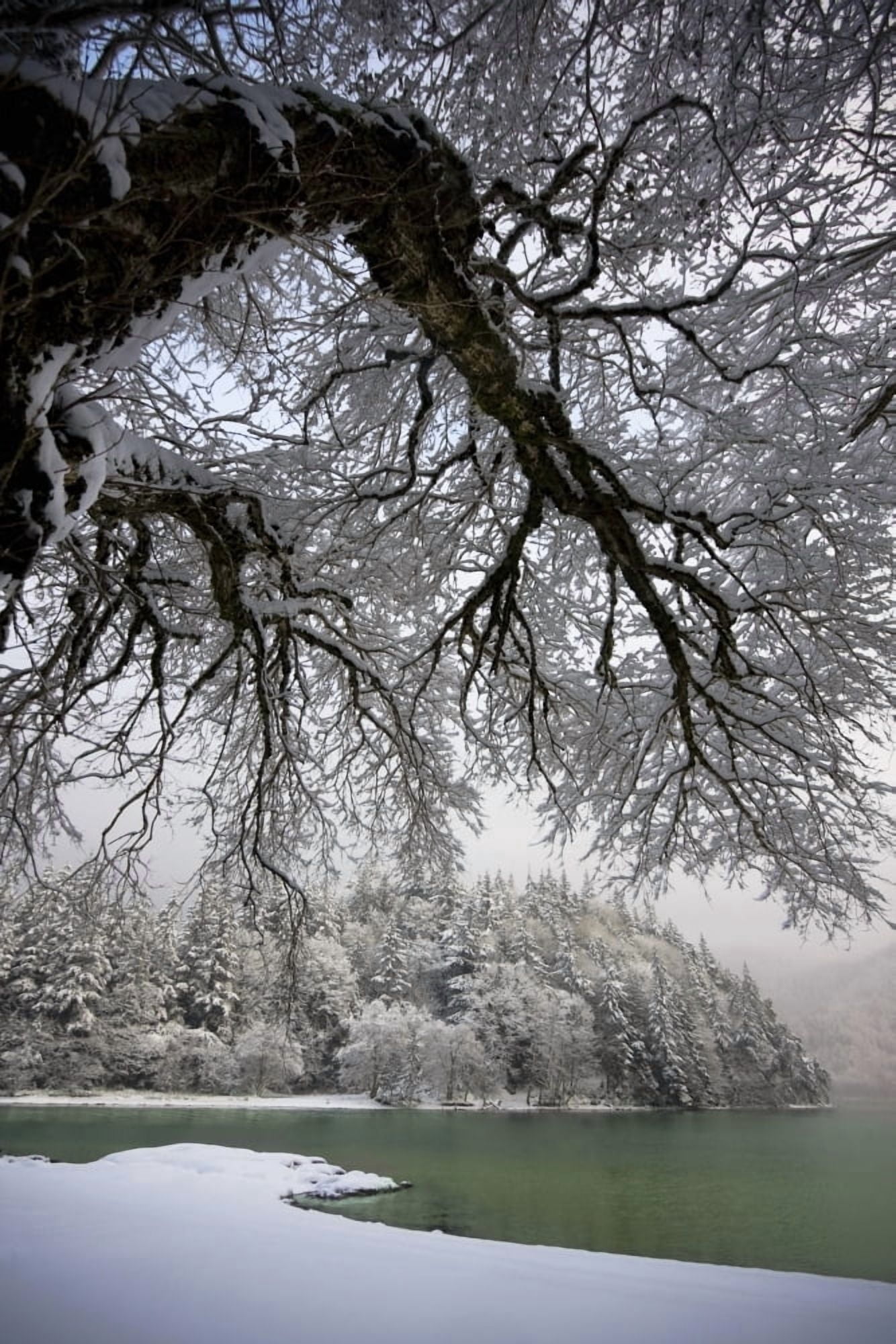 Snowy Shoreline Of A Lake BellinghamWashingtonUsa Canvas Art - Blake Kent Design Pics (24 x 38)