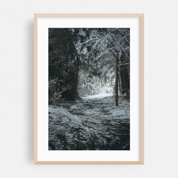 Snowy Trails - Baw Baw Victoria Australia Photography Snow Winter Forest Nature Woodland Scenic Moody Oak Framed Wall Art Print 5 x 7 inches