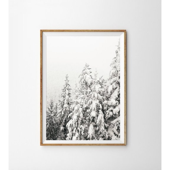Snowy Trees Art Nordic Winter Decor Pine Forest Photography Evergreen Poster, Unframed Paper Poster 8x10in
