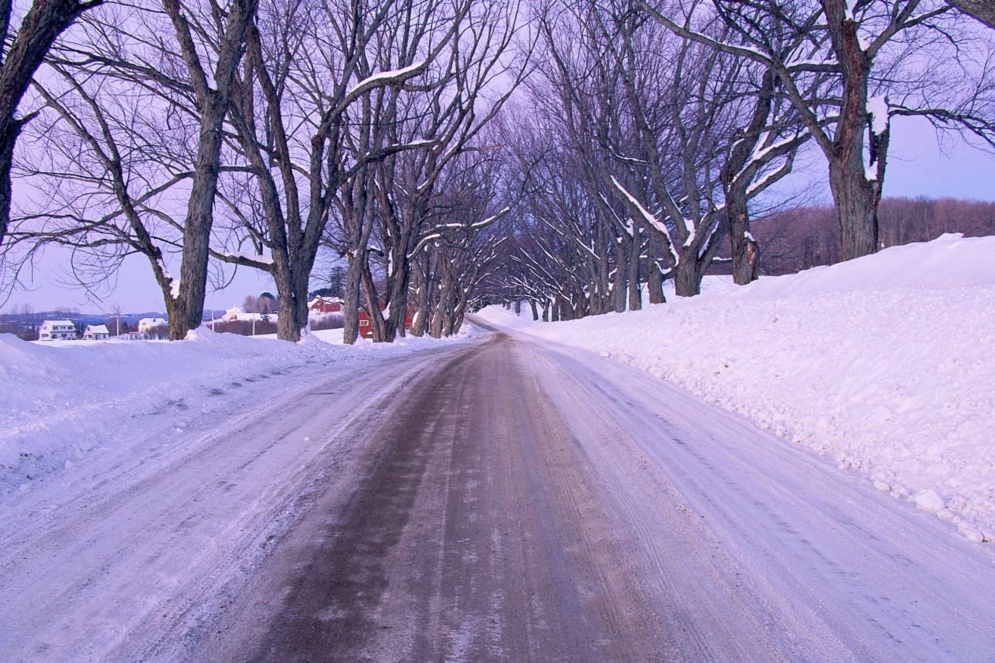 Snowy country road Canvas Art - Panoramic Images (18 x 24)