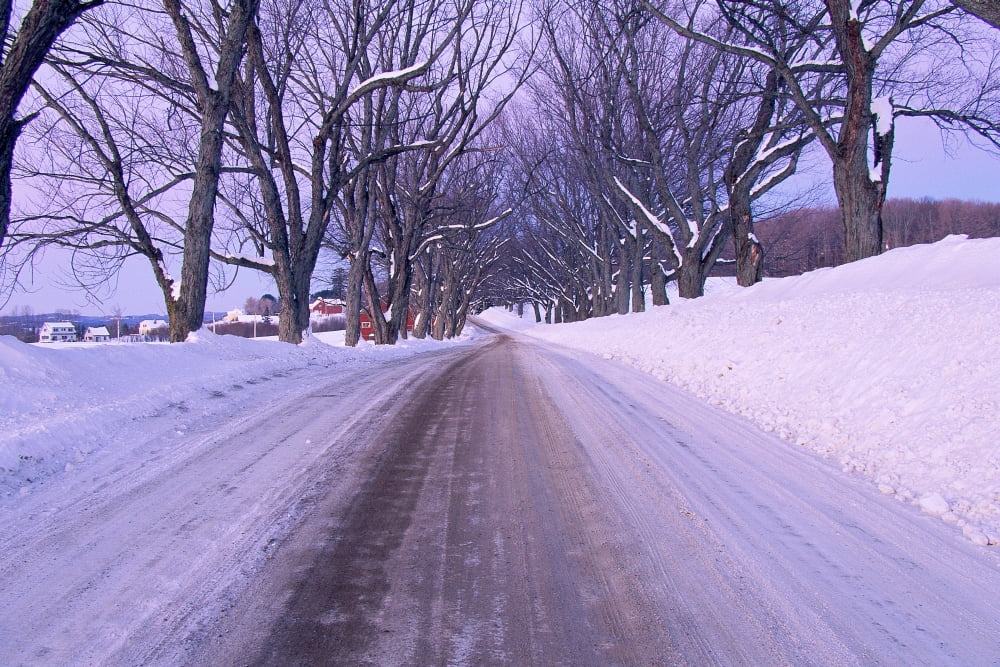 Snowy country road Canvas Art - Panoramic Images (24 x 36)