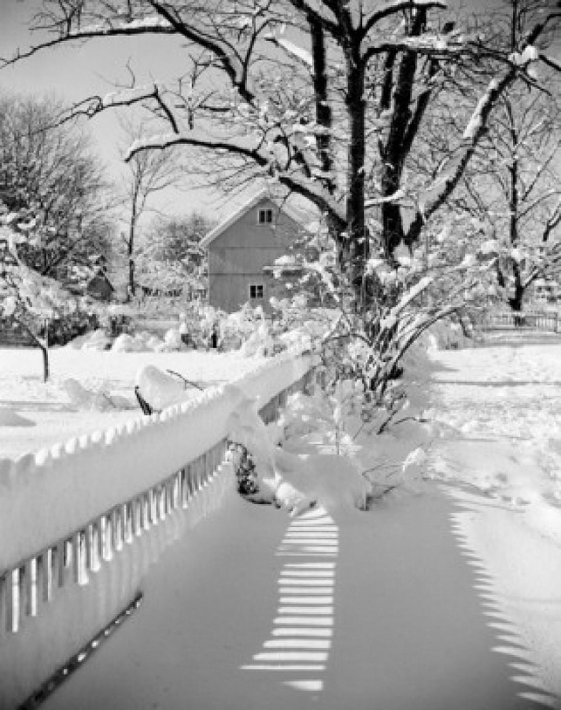 Snowy farm Canvas Art - (18 x 24)